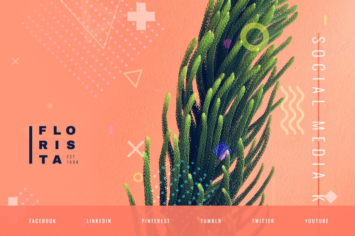 Instagram | 橘色橙色花店花卉花艺自然主义设计工作室社交媒体工具包
