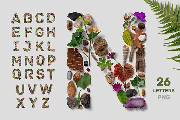 震撼的高品质少见稀有的植物树木树叶石头花朵树皮自然元素组成的英文字母表英文字体