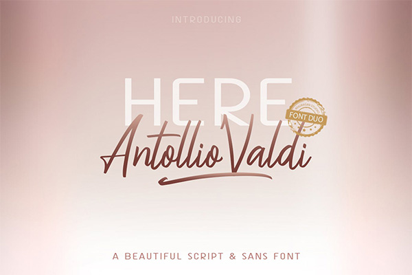 时尚高端优雅多用途的高品质Antollio VALDI英文字体