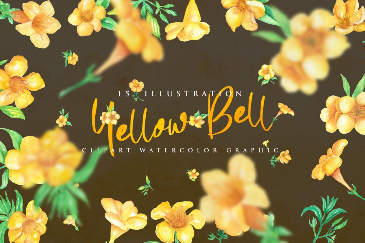 水彩 | 夏季黄色五瓣花瓣花卉植物叶子手绘插画元素素材
