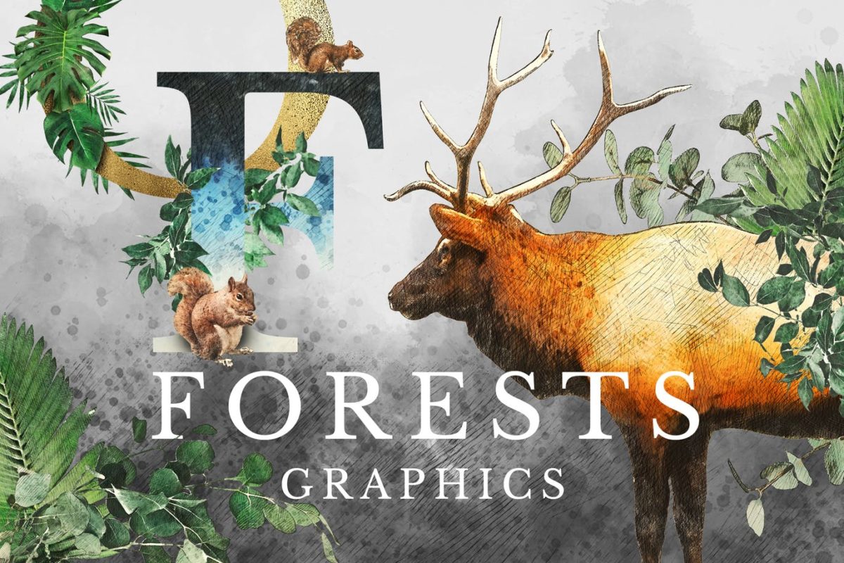 插画 | 夏天自然森林动物植物花卉水彩手绘无缝模式花纹字母插图
