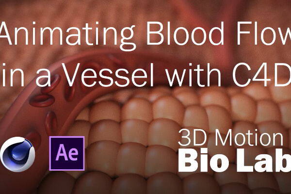 C4D 血管红细胞血流动画教程