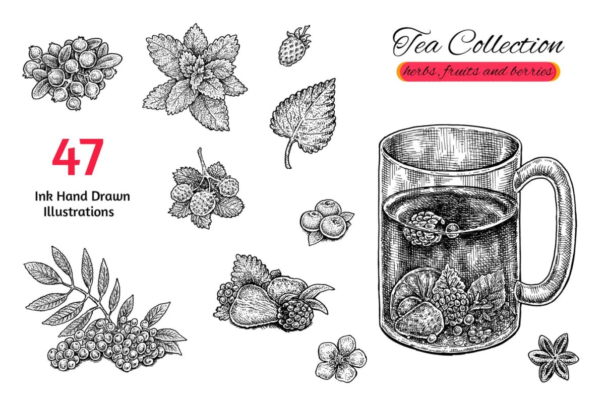 插图 | 黑白线稿肌理茶具水果香草浆果手绘粗略系列图集