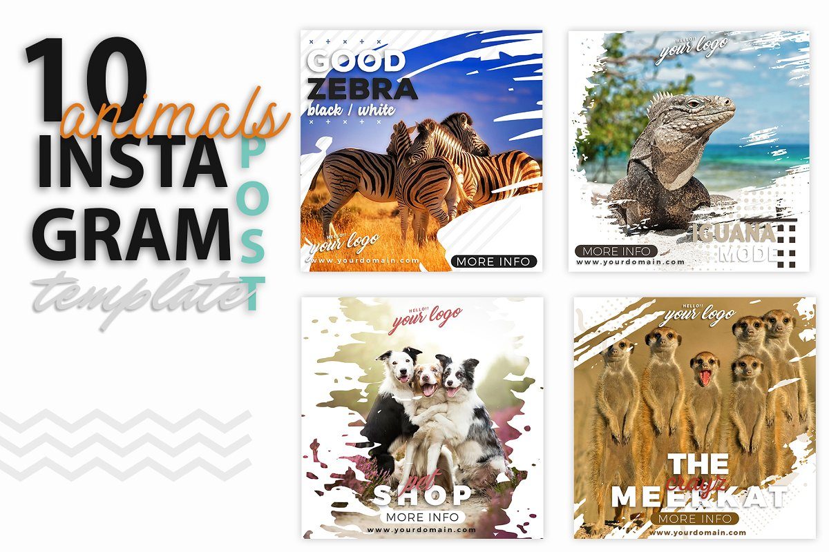 动物Instagram方形帖子模板