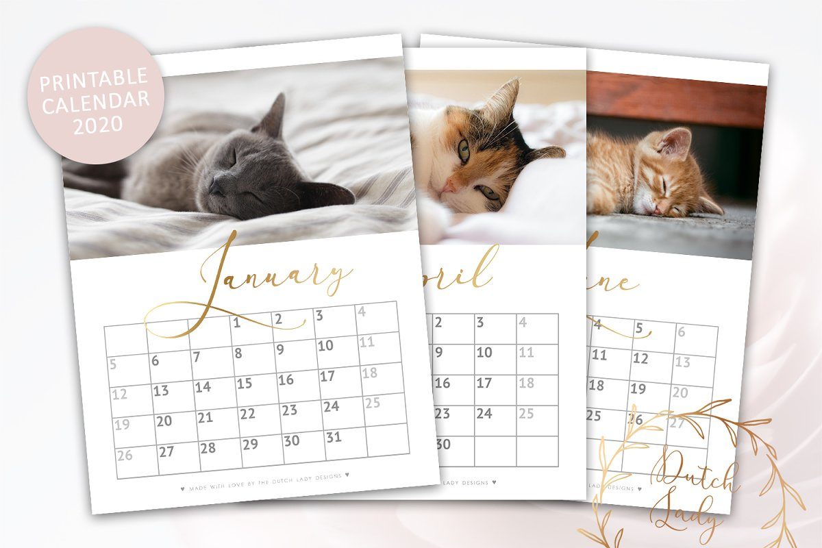 2020年可爱猫咪主题日历模板