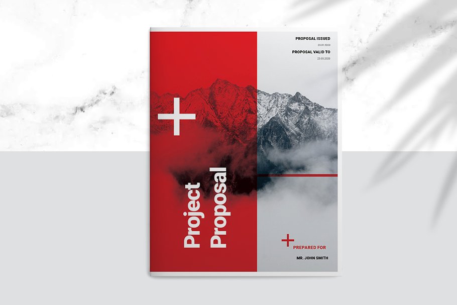 红色瑞士主题企业宣传/项目提案画册设计