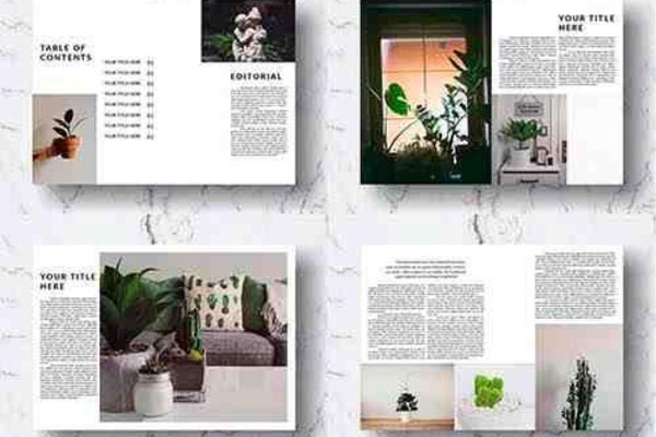 绿色植物家居装饰杂志画册设计