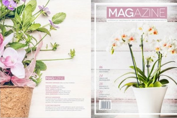 家居植物杂志画册设计模板