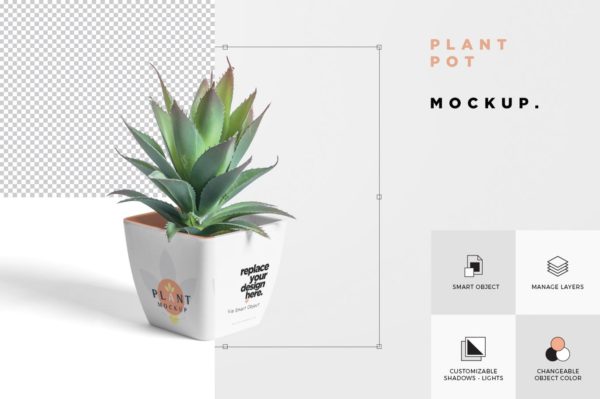 Mockups | PSD逼真花盆植物样机模型