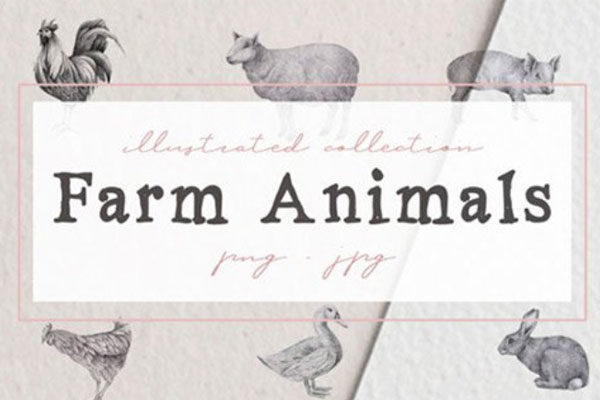 手绘的农场动物插画素材合集