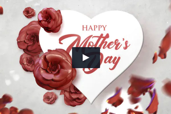 母亲节快乐玫瑰花瓣转场视频ae模板