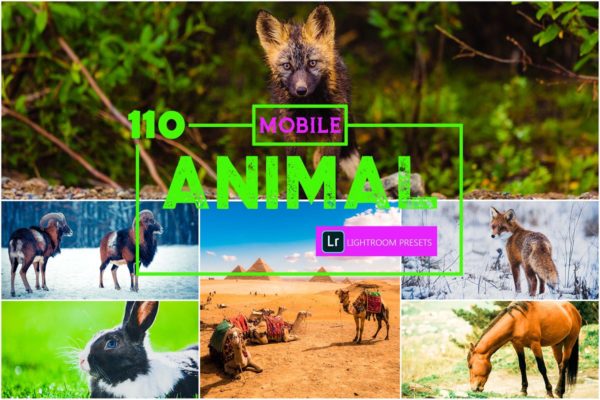 110款动物照片调色滤镜LR手机预设下载