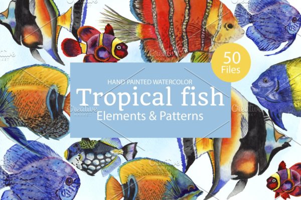 50个彩色海洋鱼类水彩剪贴画素材合集