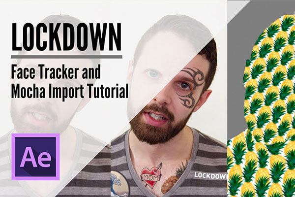 AE 锁定面部跟踪器 Mocha 导入教程