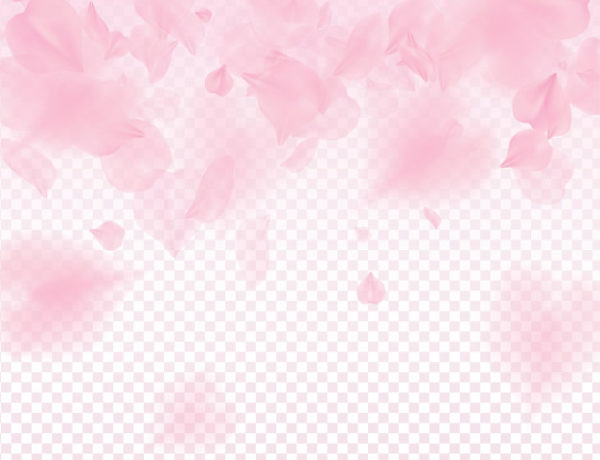 粉色水彩樱花花瓣背景