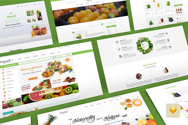 时尚高端简约多用途的有机健康食品蔬菜Web UI网站设计模板（sketch）