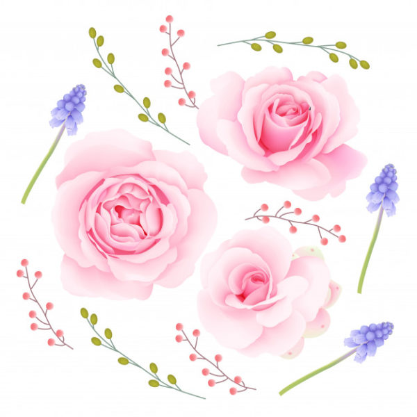 粉色玫瑰花图案背景
