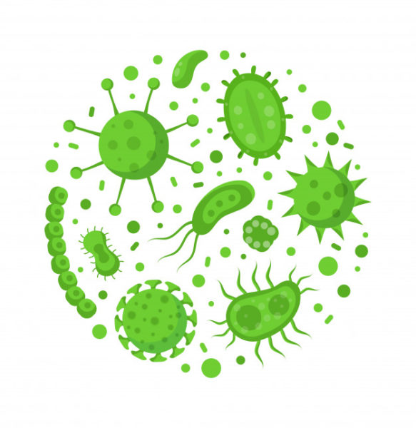 彩色细菌病毒医疗概念图形