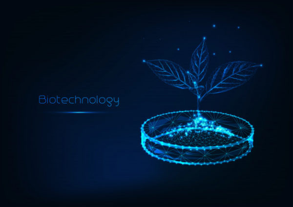 生物技术概念发光低多边形芽与土壤有盖培养皿背景