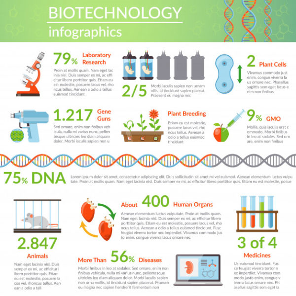 生物技术和遗传学信息图表 Biotechnology and genetics infographics Vector
