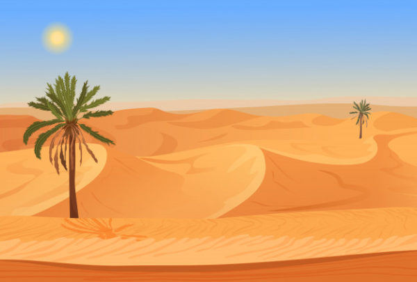 广阔的沙漠棕榈景观插画