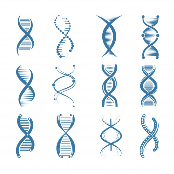 DNA人类基因插画