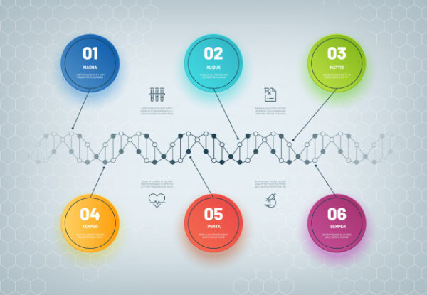 DNA分子链信息图表