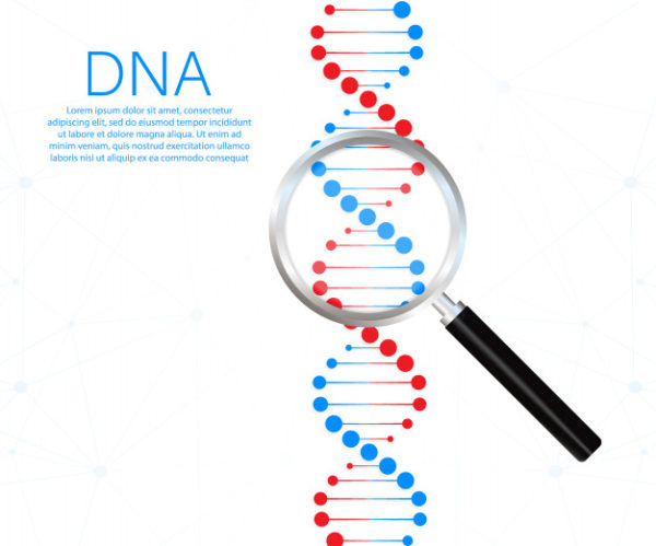 DNA链基因科技矢量插画
