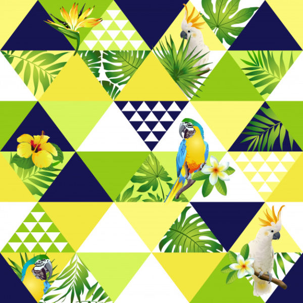 异国情调的时尚热带植物和鹦鹉图案