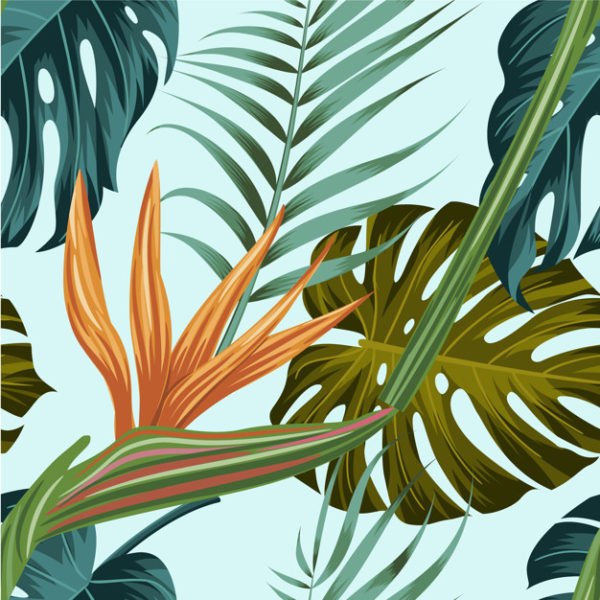 夏季热带花卉植物无缝图案背景