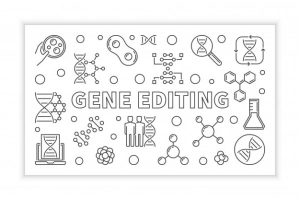 基因编辑轮廓图标概念插图