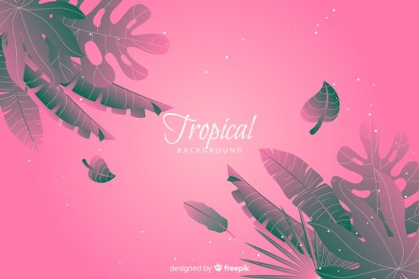热带植物插画粉色梦幻背景