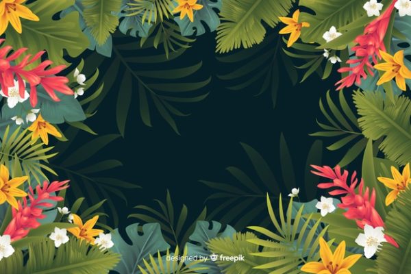 热带花卉的自然插画背景