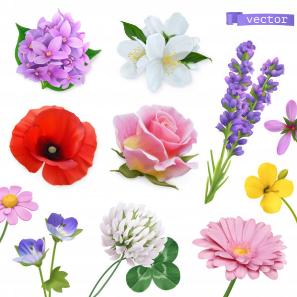 逼真的3D春季花卉图标