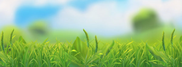 春天的绿草风景插图