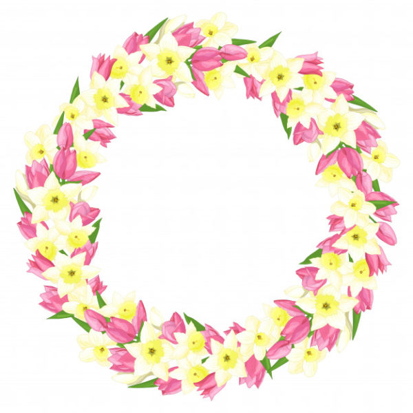 春天的水仙花和郁金香花环图案素材