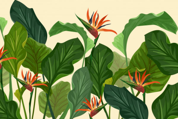 热带植物叶子插画背景