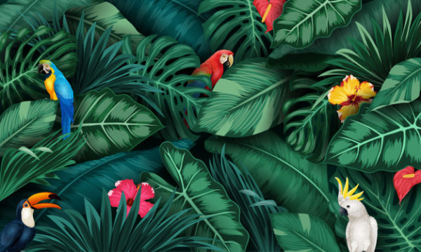 热带植物和鸟类插画矢量集