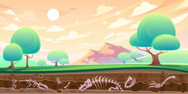 山谷和横截面土壤中的化石插画