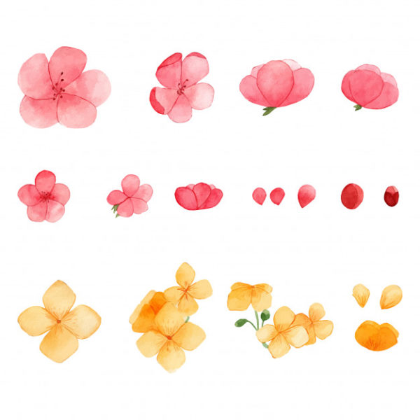 水彩春季花卉组成插画