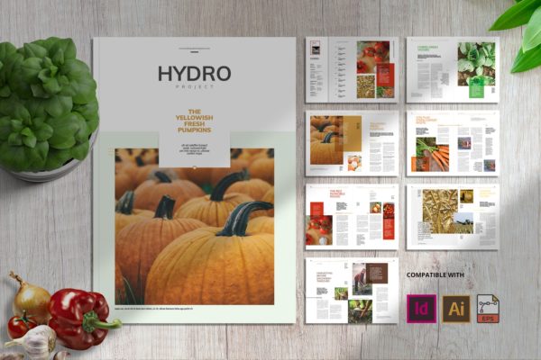 时尚高端绿色健康食品画册宣传册杂志房地产楼书设计模板-INDD，AI，EPS，PDF