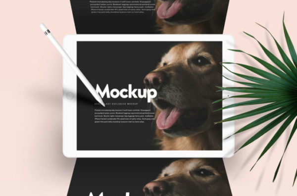 iPad Pro广告展示样机