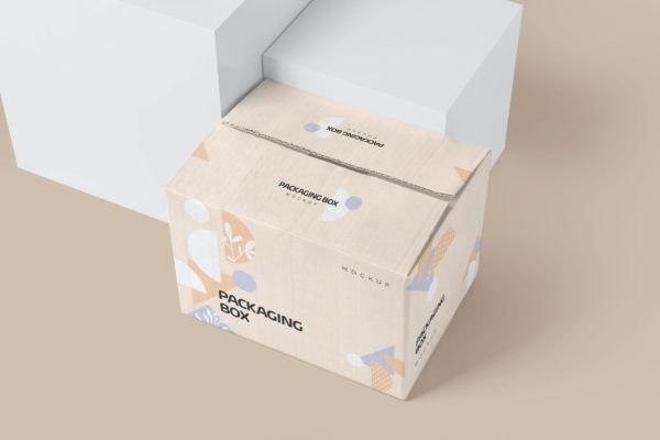 大矩形纸板包装箱模型样机（PSD）