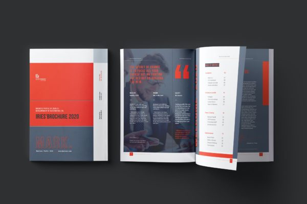企业杂志画册设计模板下载（INDD）