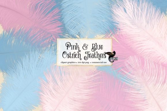 粉色和蓝色鸵鸟羽毛剪贴画素材