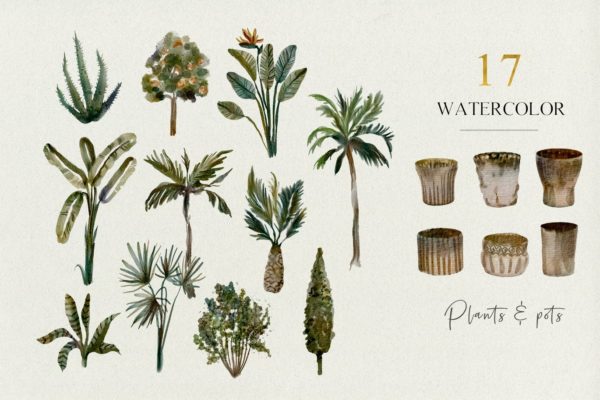 17种手绘水彩水墨热带植物和花盆插画集合
