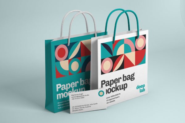 2种组合的纸袋和名片品牌模型样机(PSD)