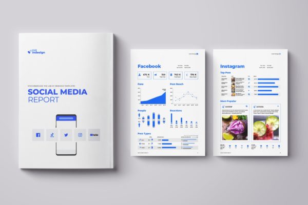 社交媒体营销方案报告模板[INDD]