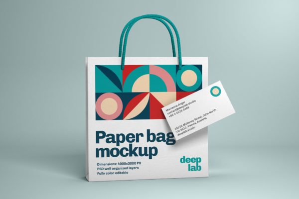 单一的纸袋和名片品牌模型样机(PSD)