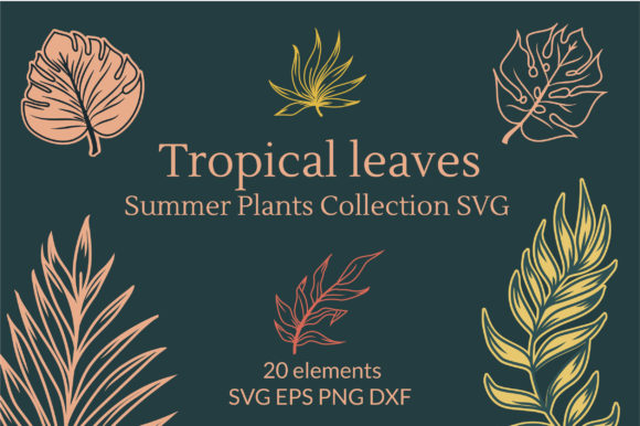 夏季热带树叶植物图形收藏集